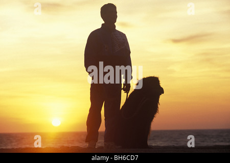 THE DOG AND HIS MASTER AFTER A SEA RESCUE WITH NEWFOUNDLANDS, BANDOL, VAR (83), FRANCE Stock Photo