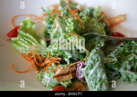 Half-eaten Caesar Salad from the Barbarossa Lounge, a waterside bar and restaurant located in People's Park in Shanghai. Stock Photo