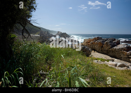 Part of the Otter Trail, Tsitsikamma, Garden Route National Park, South Africa Stock Photo