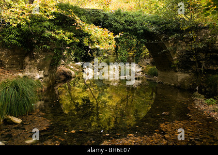 Historical stone arch bridge covered with vegetation Safranbolu Turkey. Stock Photo