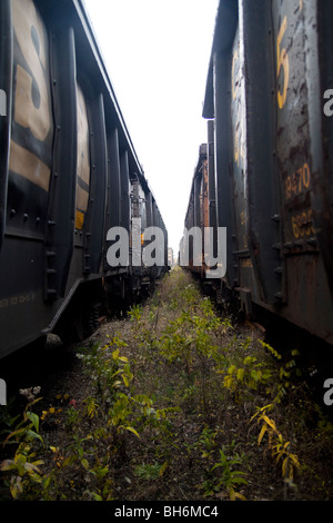 Abandoned freight railroad freight cars Stock Photo - Alamy