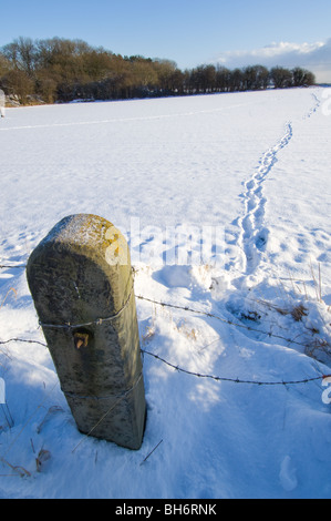 Fresh foot prints or tracks in the snow going off the the horizon with a stone gate post and barbed wire blocking the way. Stock Photo