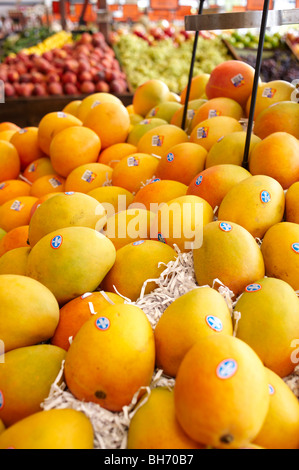 Fresh tropical mangoes at greengrocer's Stock Photo