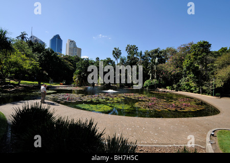 The Botanic Gardens in Brisbane, Queensland, Australia. Stock Photo