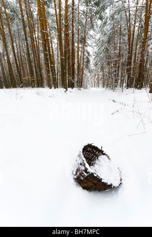 Snow covered basket in the middle of snowy path in winter forest. South Eastern Poland. Stock Photo