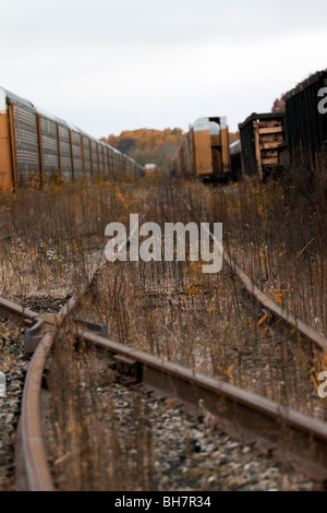 Abandoned freight railroad freight cars Stock Photo