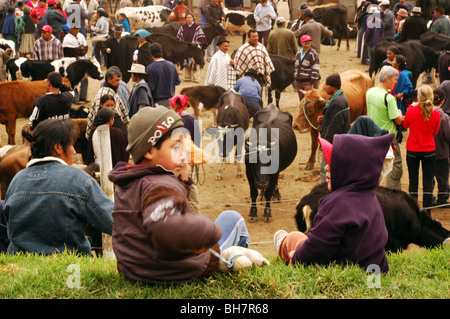 Ecuador, Otavalo, rear view of two boys sitting on a grassy area, overlooking at at the cows section of a cattle market, some pe Stock Photo