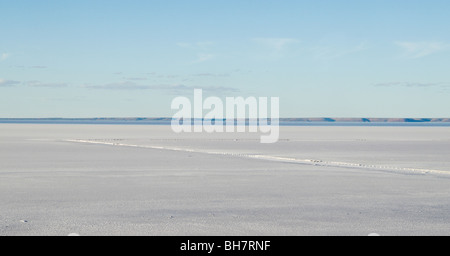great image of a salt lake in australian outback Stock Photo