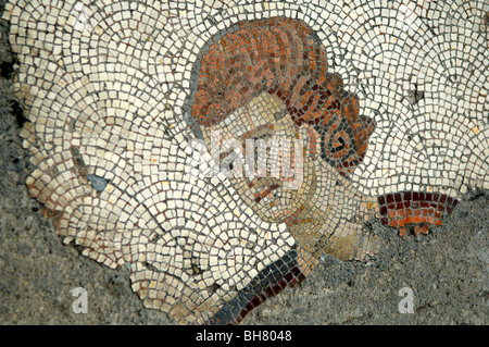 Mosaics Museum, includes many hunting scenes from the Great Palace, Istanbul Stock Photo