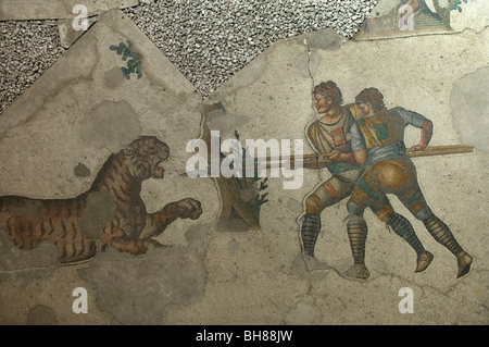 Mosaics Museum, includes many hunting scenes from the Great Palace, Istanbul Stock Photo
