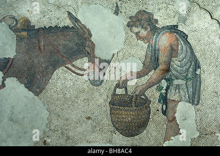 Mosaics Museum, includes many hunting scenes from the Great Palace, Istanbul Stock Photo