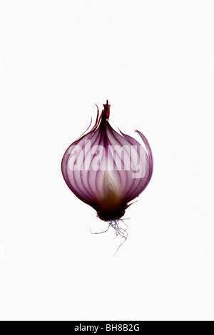 A slice of an organic red onion on a lightbox Stock Photo