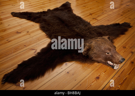 A bear skin rug on wooden floorboards Stock Photo