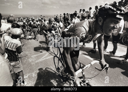 Cyclists in 1994 competing in the first British Tour de France cycle race for 20 years, going over Ditchling Beacon, Sussex. Stock Photo