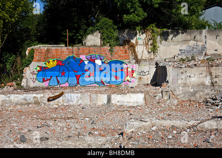 At Cusset, graffiti in a waste ground (Allier - France). Graffiti dans un terrain vague, à Cusset (Allier - France). Stock Photo