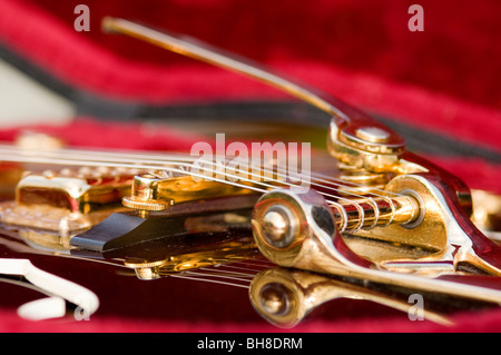 The strings of a Gretsch guitar in its case, detail. Also shows the bridge and tremolo arm and string attachment Stock Photo