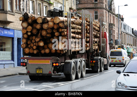 Loaded Timber lorry & trailer transporting cut logs from a Forest in