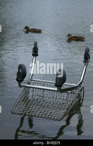 Ducks swimming past an abandoned shopping cart or shopping trolley in an urban pond in England. Stock Photo