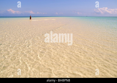 a holiday maker wades across a sandy spit in turquise sea water at low tide off nungwi beach, the tropical paradise in zanzibar Stock Photo