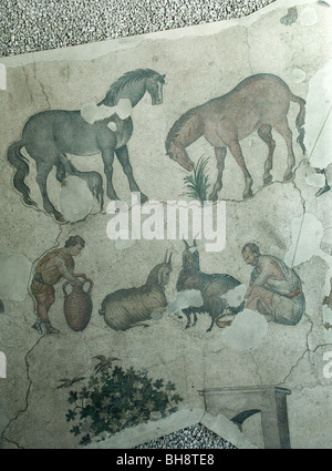 Mosaics Museum, includes many hunting scenes from the Great Palace, Istanbul Stock Photo