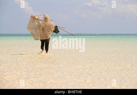 a crayfish fisherman with pot wades through turquise sea water at low tide off nungwi beach, the tropical paradise in zanzibar Stock Photo