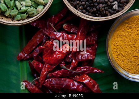 High angle view of spices Stock Photo