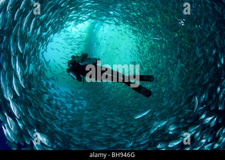 Underwater fish trap, fishes inside trap, fish hunt Stock Photo