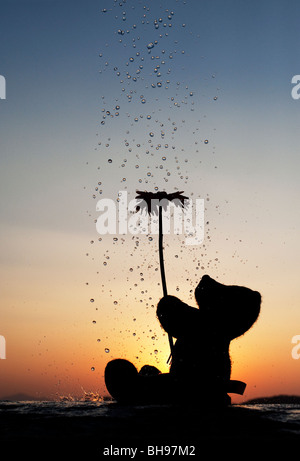 Teddy bear holding a flower with water drops pouring over them at sunset. Still life silhouette Stock Photo