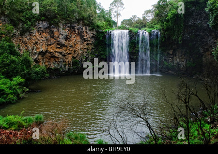 Dangar Falls near Dorrigo in north central New South Wales on Waterfall Way
