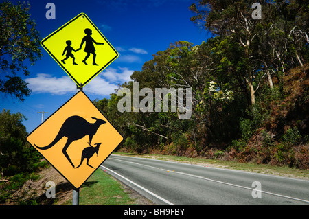 Kangaroo Warning Sign Forest Road Stradbroke Island | NORTH STRADBROKE ISLAND, Queensland, Australia — A modified kangaroo crossing sign, complete with joey, stands beneath a children-crossing sign on a quiet forested road through Minjerribah. Vehicle strikes remain a persistent risk to the island's Eastern Grey Kangaroos as they move through dune scrub and coastal heath, much of which now falls within the jointly managed Naree Budjong Djara National Park. Stock Photo