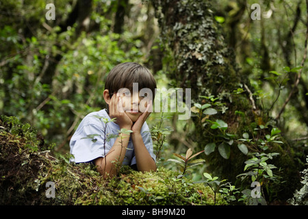 Boy in woods Stock Photo