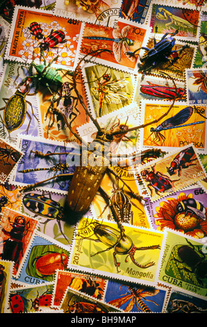 Bug insect stamps Stock Photo