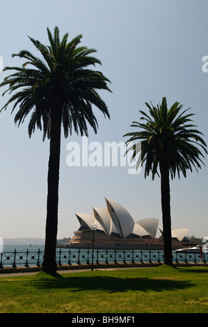 SYDNEY, Australia - SYDNEY, Australia - Sydney Opera House framed by silhouettes of palm trees in Dawes Point Park in Sydney's historic Rocks district Stock Photo