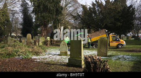 Cutting back yew bushes in Kelso cemetery Scotland in February to allow regrowth over next 20-30 years Stock Photo