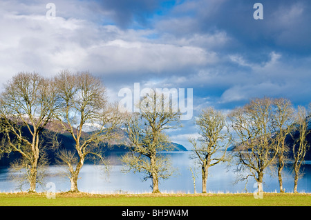 The South West Shores of Loch Ness at Fort Augustus, Inverness-shire  Scottish Highlands  SCO 6049 Stock Photo