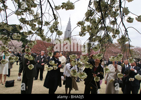 Guests at the 'Sakura Hanami' (cherry blossom flower viewing) garden party hosted by Prime Minister Junichiro Koizumi, Tokyo Stock Photo