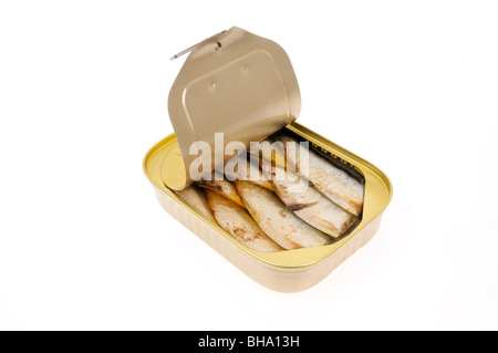 An open pull tab tin of sardines packed in oil on white background, cut out. Stock Photo