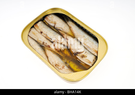 An open tin of sardines packed in oil on white background, cut out. Stock Photo