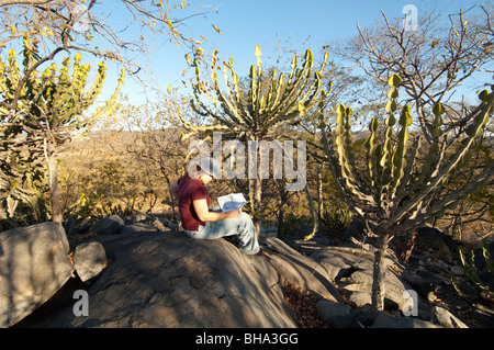 Tourists enjoy the various scenic vistas in Zimbabwe's Umfurudzi Safari Area. Stock Photo