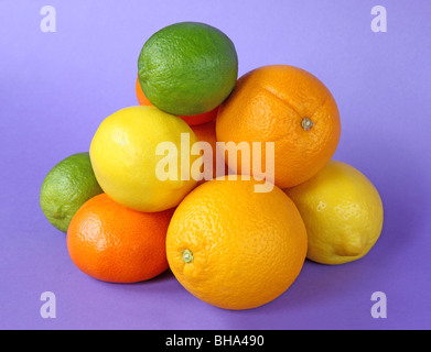 Pile of oranges,satsumas, lemons and limes on a purple background. Stock Photo