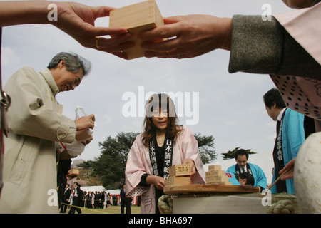 Guests at the 'Sakura Hanami' (cherry blossom flower viewing) garden party hosted by Prime Minister Junichiro Koizumi, Tokyo Stock Photo