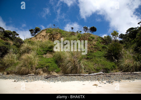 Omapere beach, Hokiaga, New Zealand Stock Photo