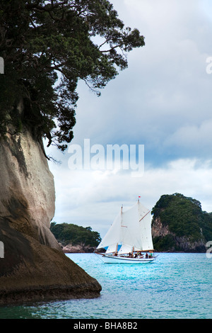 Sailing Boat in blue sea at Cathedral Cove Coromandel Peninsula, North Island, New Zealand. Stock Photo