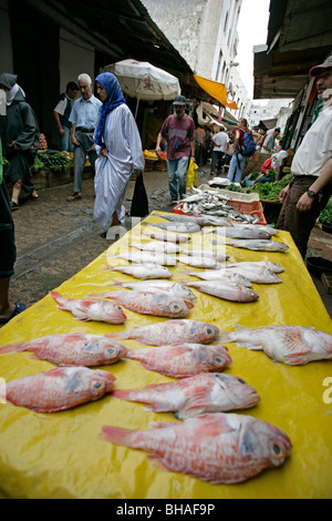 Fish for sale at an outdoor stall along one of the many narrow alleys at the casbah in Tetuon, Morocco Stock Photo