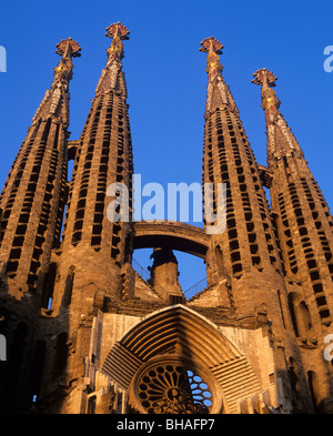 La Sagrada Familia, cathedral in late afternoon light, Barcelona, Catalonia, Spain, Europe Stock Photo