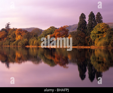 Autumn colours and pink sky reflected in still waters of Coniston Water in early morning sunshine in Lake District National Park. Cumbria England UK Stock Photo