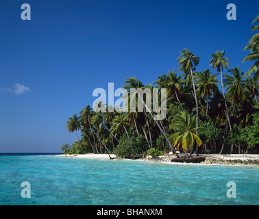 Beach erosion in The Maldives Stock Photo - Alamy