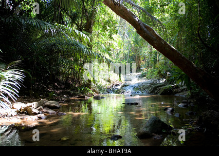 Khao Phra Thaeo National Park in Phuket Stock Photo