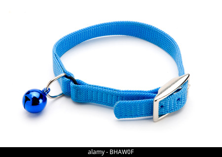 PET COLLAR ON WHITE Stock Photo