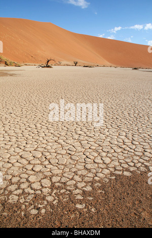 Hidden Vlei and Dead Vlei dried up lake beds which are now salt pans in the Namib desert Stock Photo